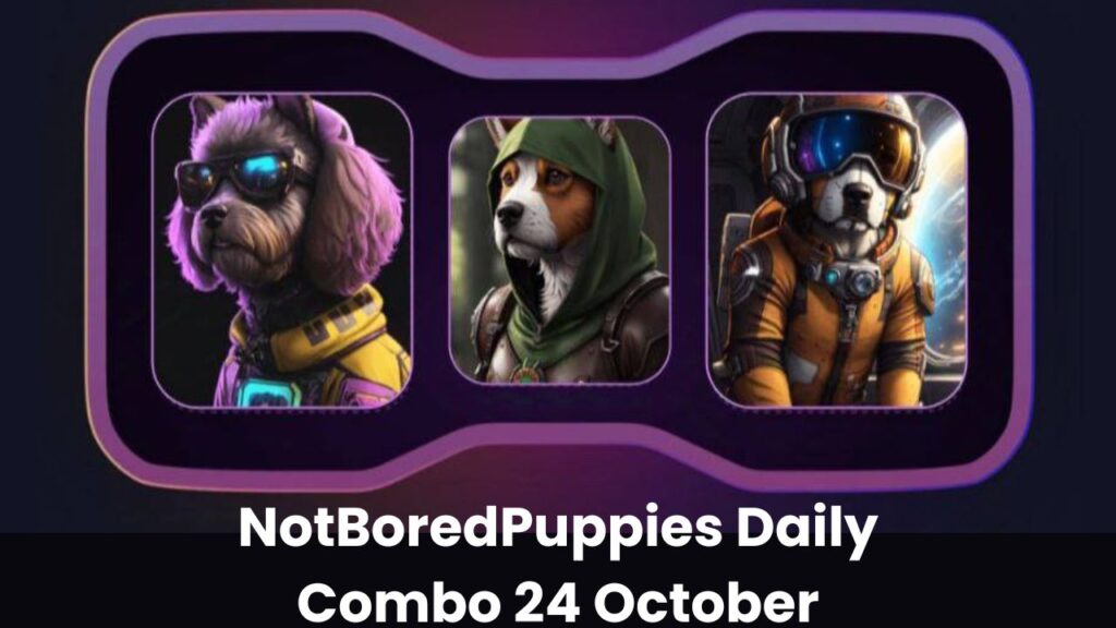 NotBoredPuppies Daily Combo 24 October