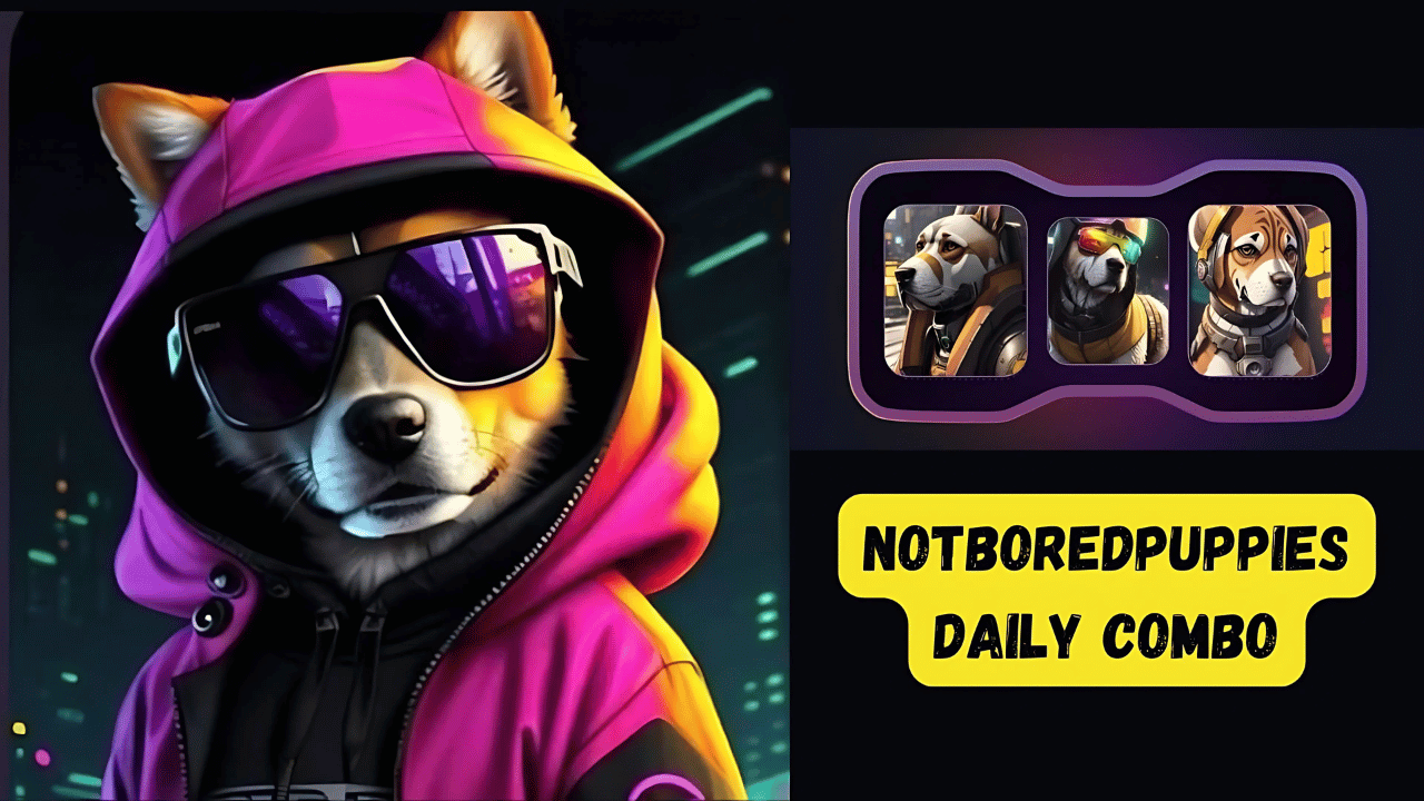 NotBoredPuppies Daily Combo