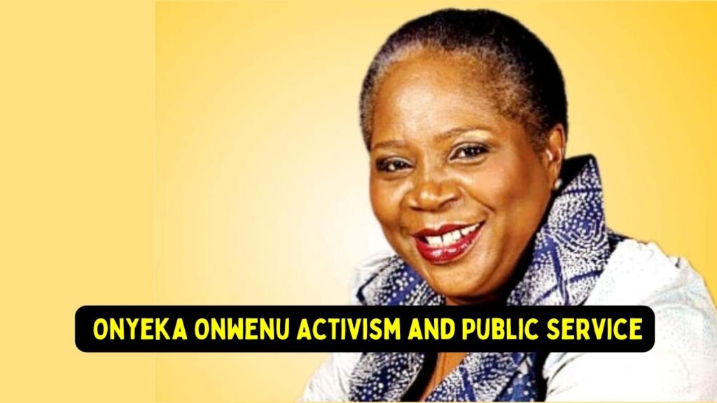 Onyeka Onwenu Activism and Public Service