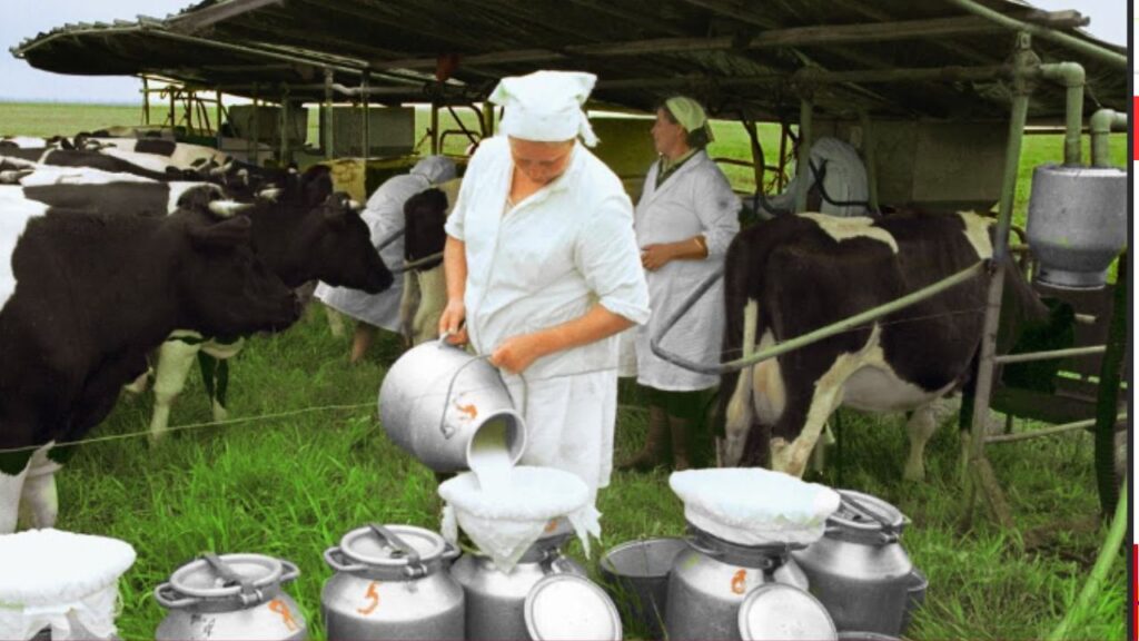 PM Dairy Farming Loan Yojana 2024