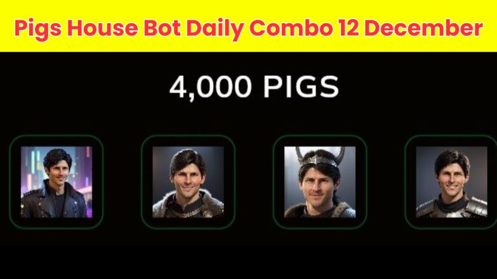 Pigs House Bot Daily Combo 11 December