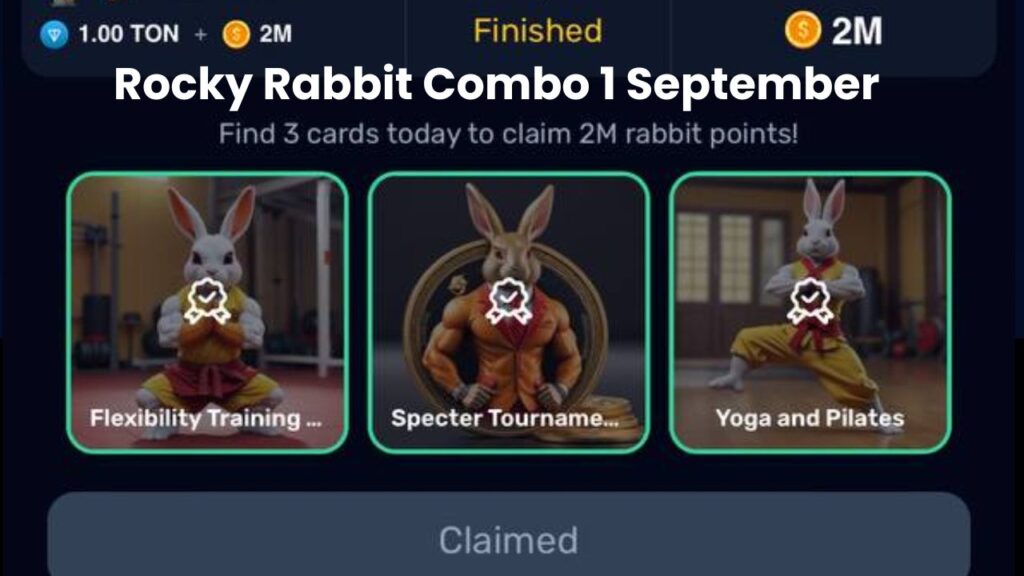 Rocky Rabbit Combo 1 September