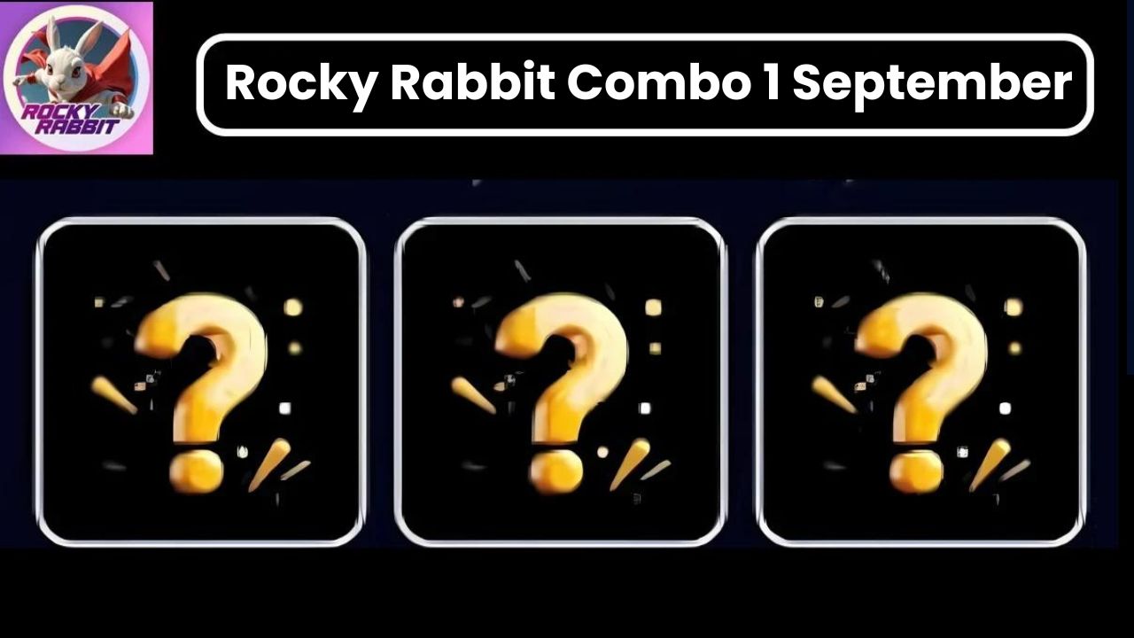 Rocky Rabbit Combo 1 September