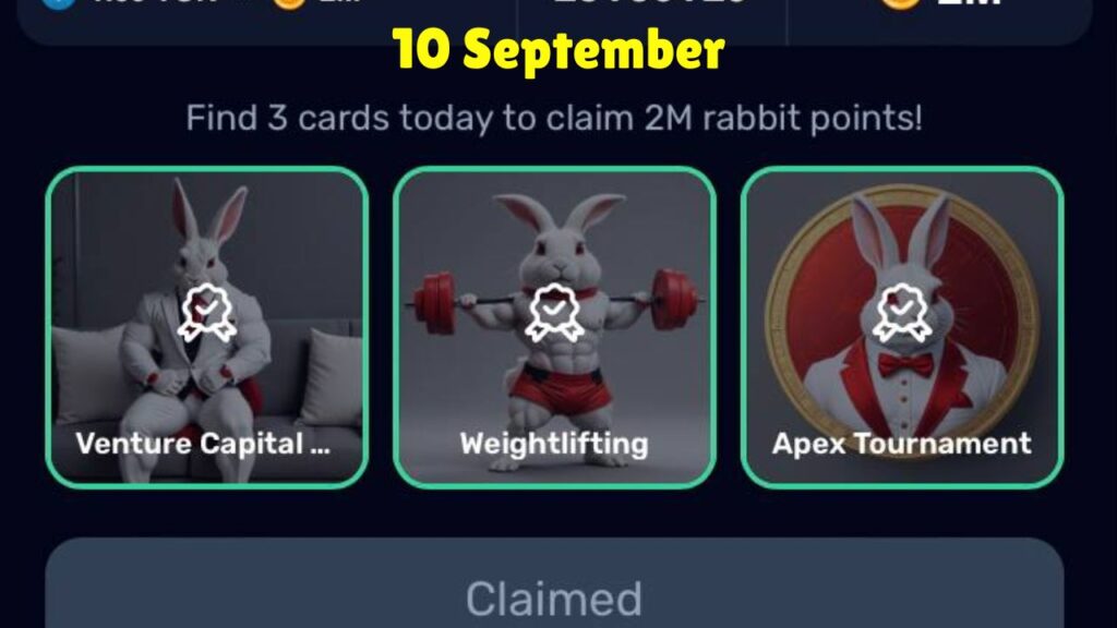 Rocky Rabbit Combo 10 September