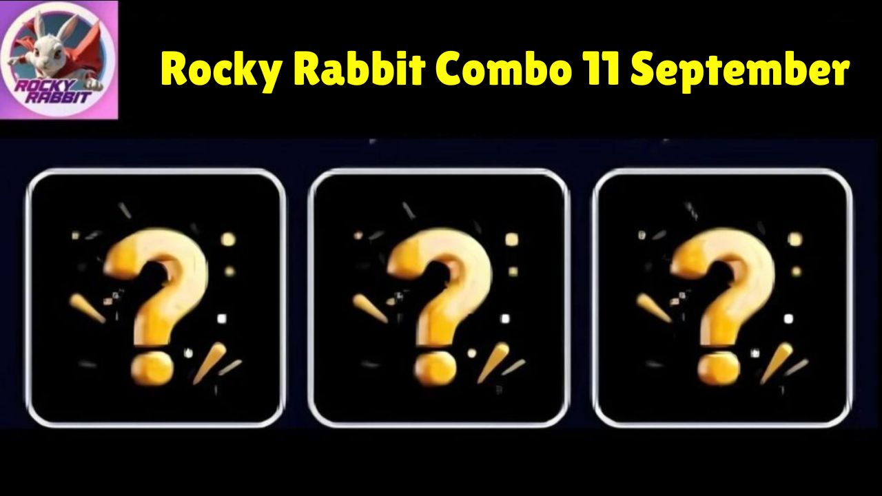 Rocky Rabbit Combo 11 September