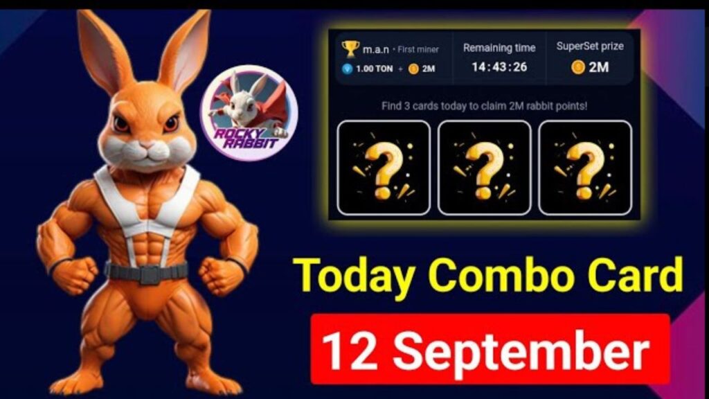 Rocky Rabbit Combo 12 September