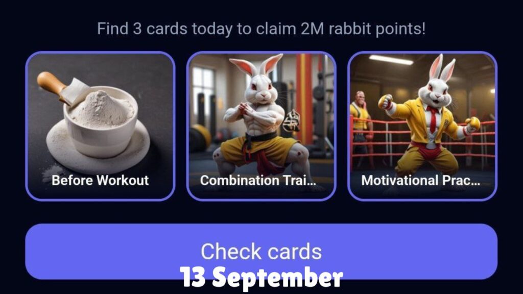 Rocky Rabbit Combo 13 September 