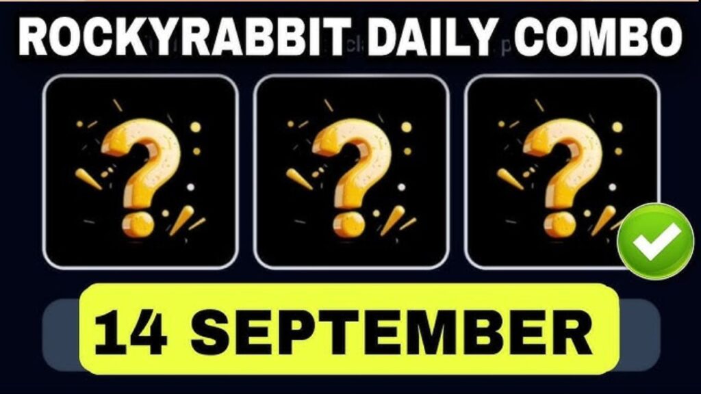 Rocky Rabbit Combo 14 September