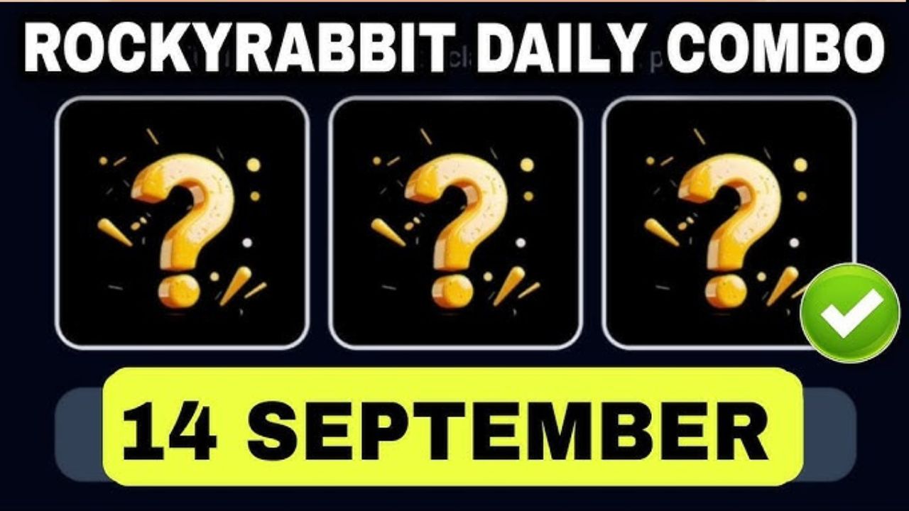 Rocky Rabbit Combo 14 September