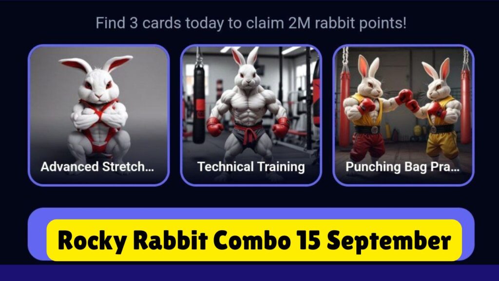 Rocky Rabbit Combo 15 September