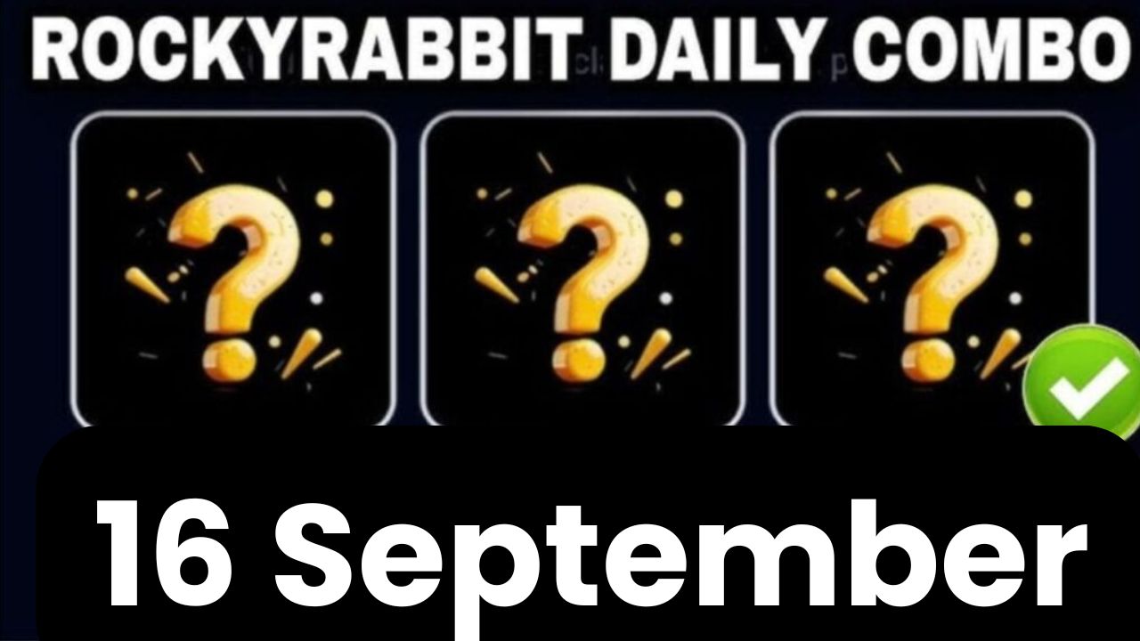 Rocky Rabbit Combo 16 September