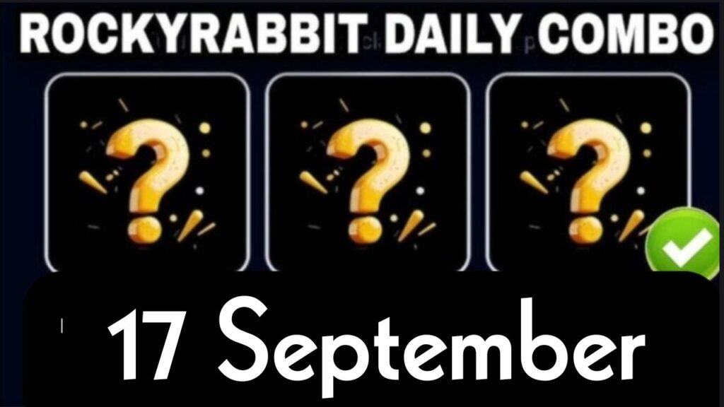 Rocky Rabbit Combo 17 September