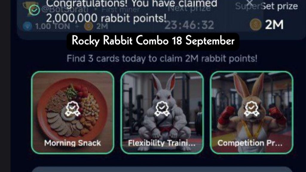 Rocky Rabbit Combo 18 September