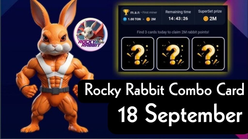 Rocky Rabbit Combo 18 September