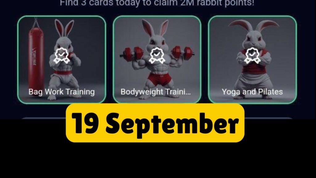 Rocky Rabbit Combo 19 September