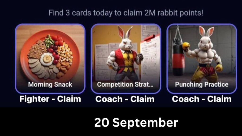 Rocky Rabbit Combo 20 September