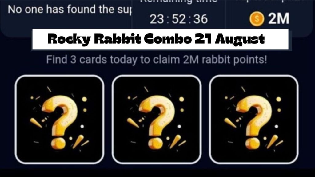 Rocky Rabbit Combo 21 August 