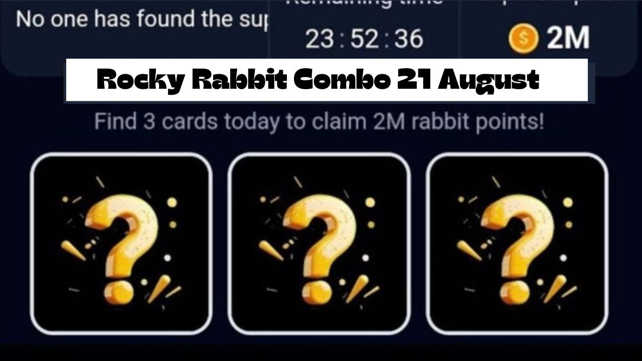 Rocky Rabbit Combo 21 August