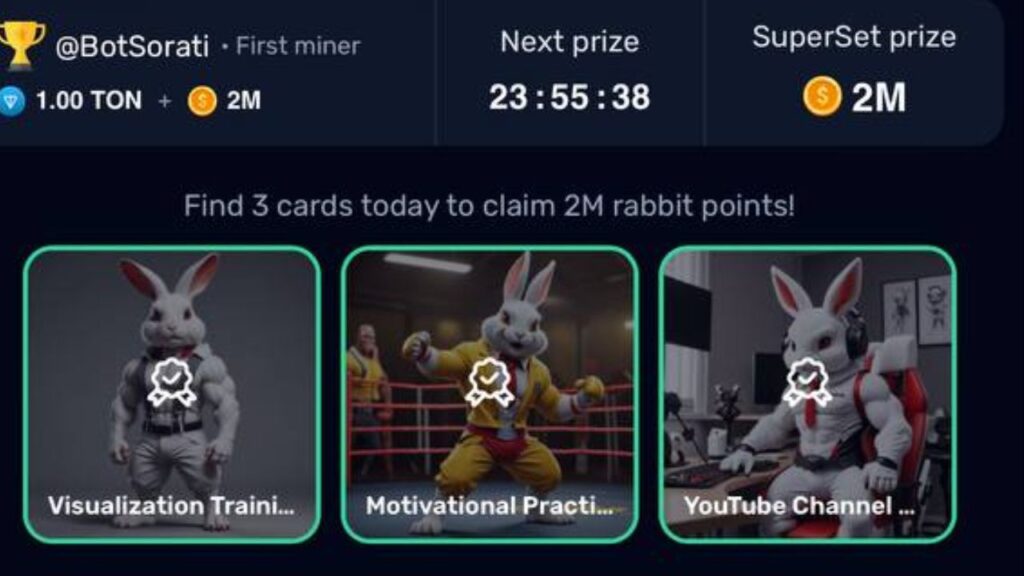 Rocky Rabbit Combo 22 August