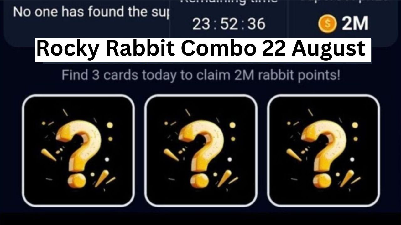 Rocky Rabbit Combo 22 August