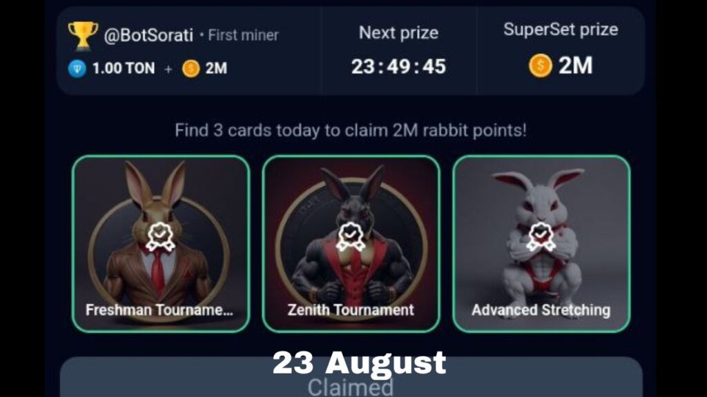 Rocky Rabbit Combo 23 August