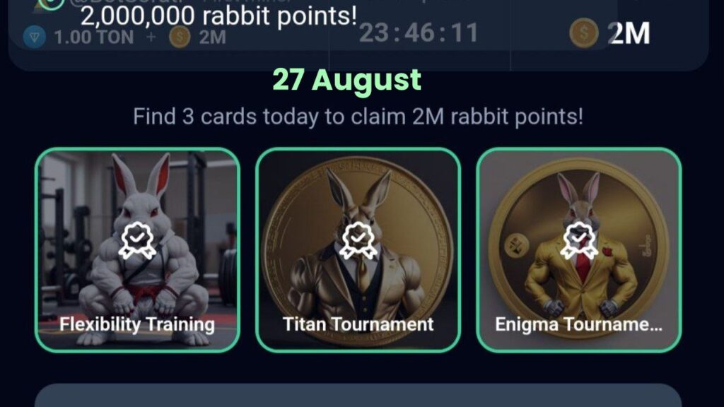 Rocky Rabbit Combo 27 August