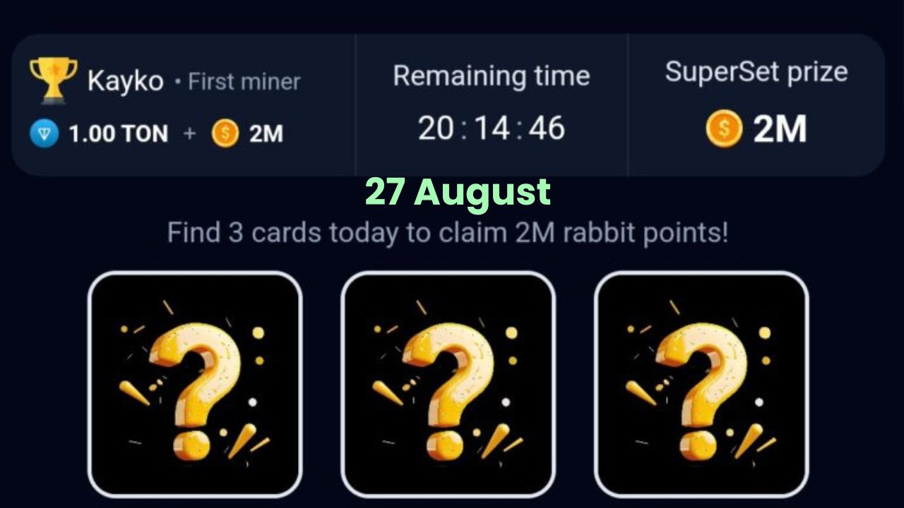 Rocky Rabbit Combo 27 August