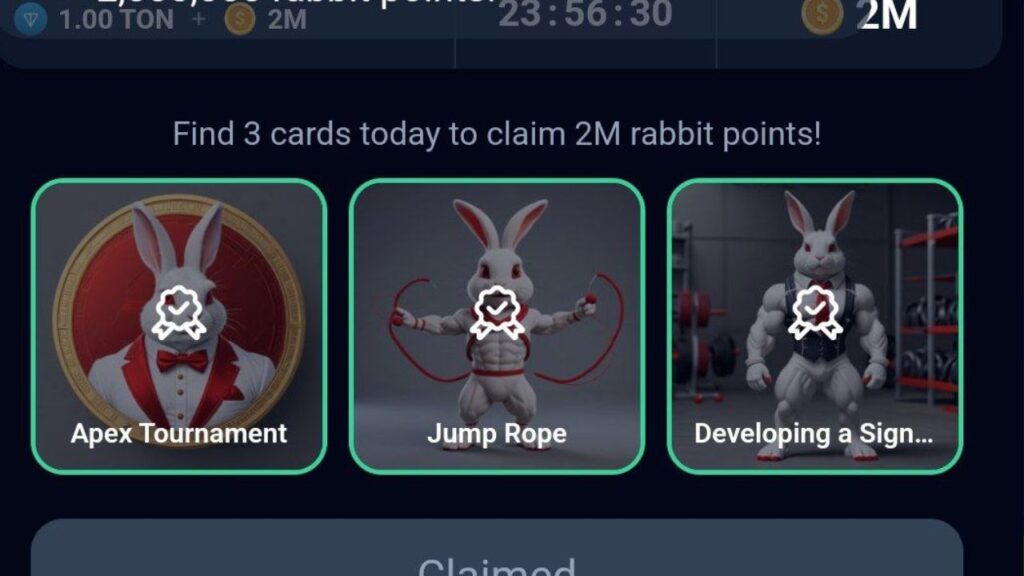 Rocky Rabbit Combo 29 August