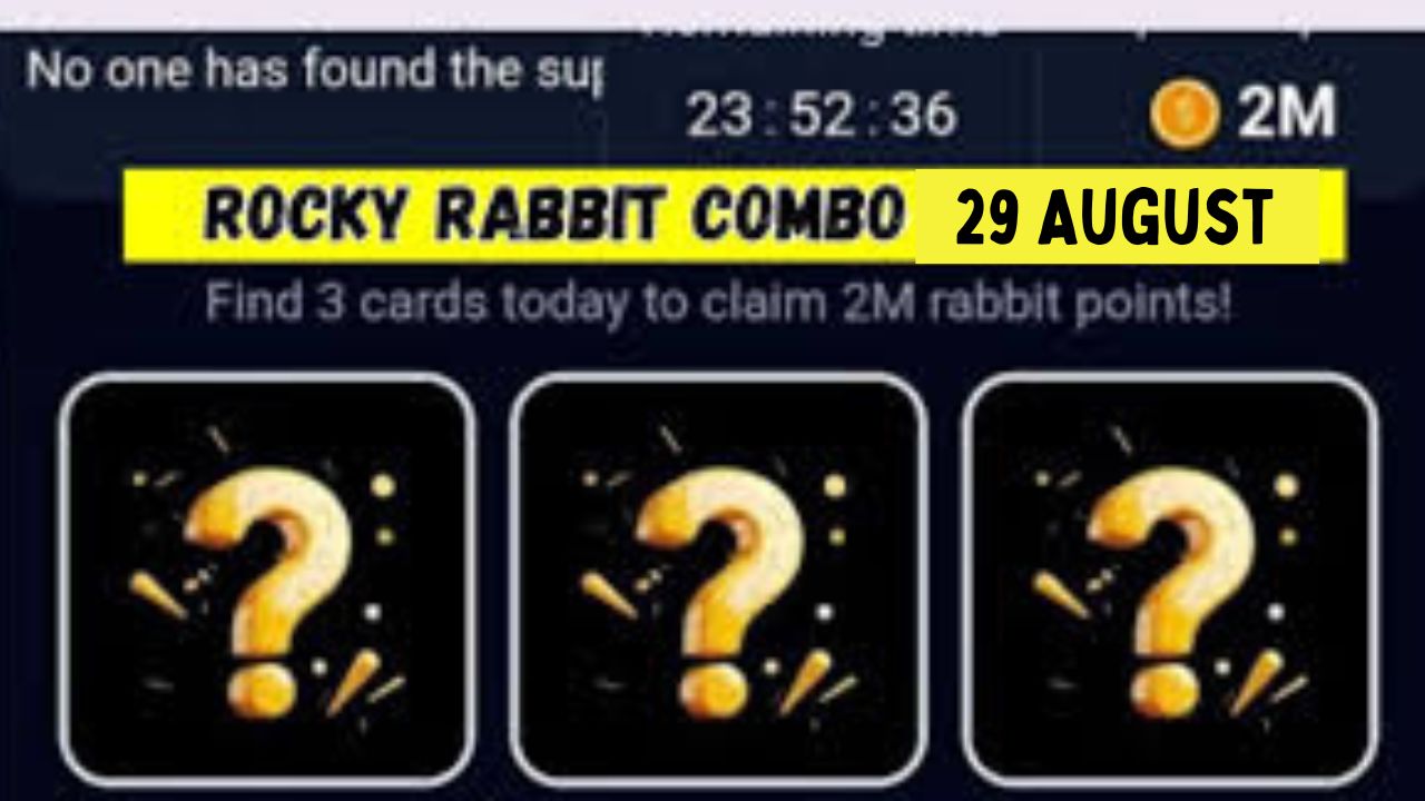 Rocky Rabbit Combo 29 August