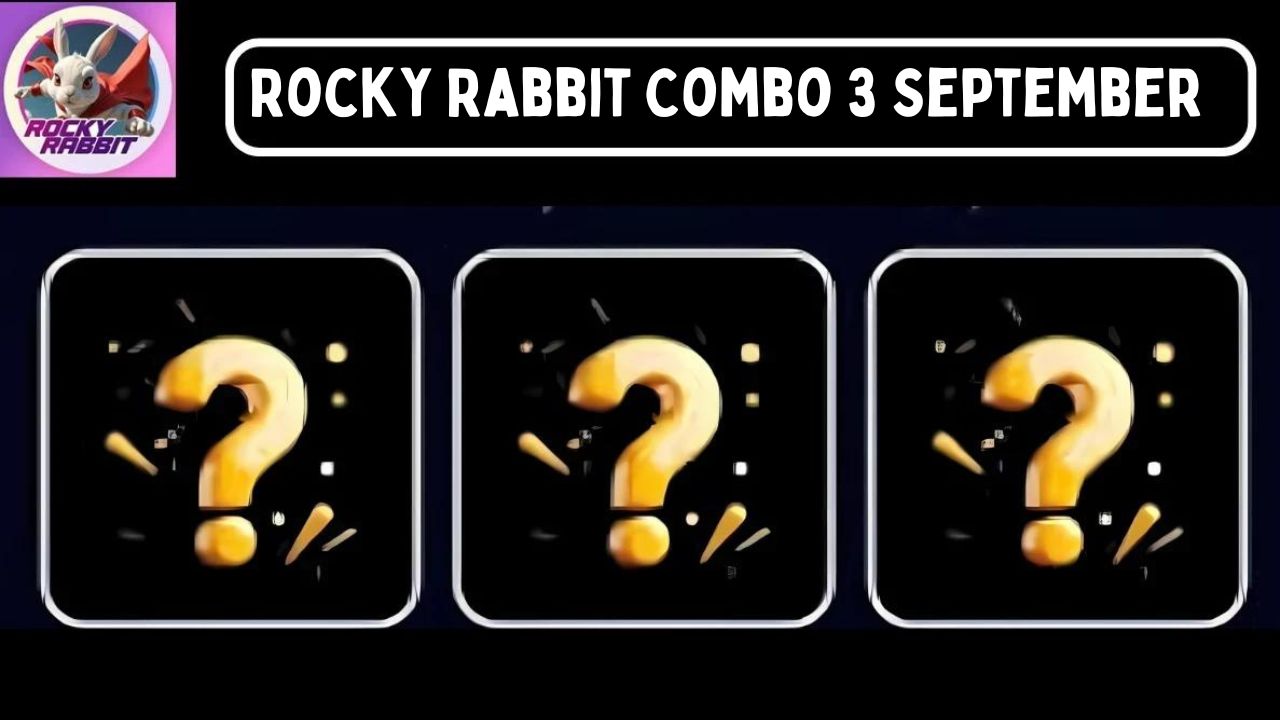 Rocky Rabbit Combo 3 September