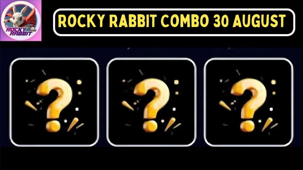 Rocky Rabbit Combo 30 August