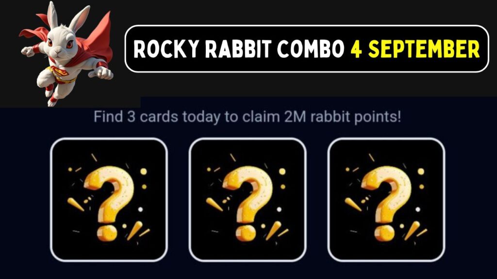 Rocky Rabbit Combo 4 September