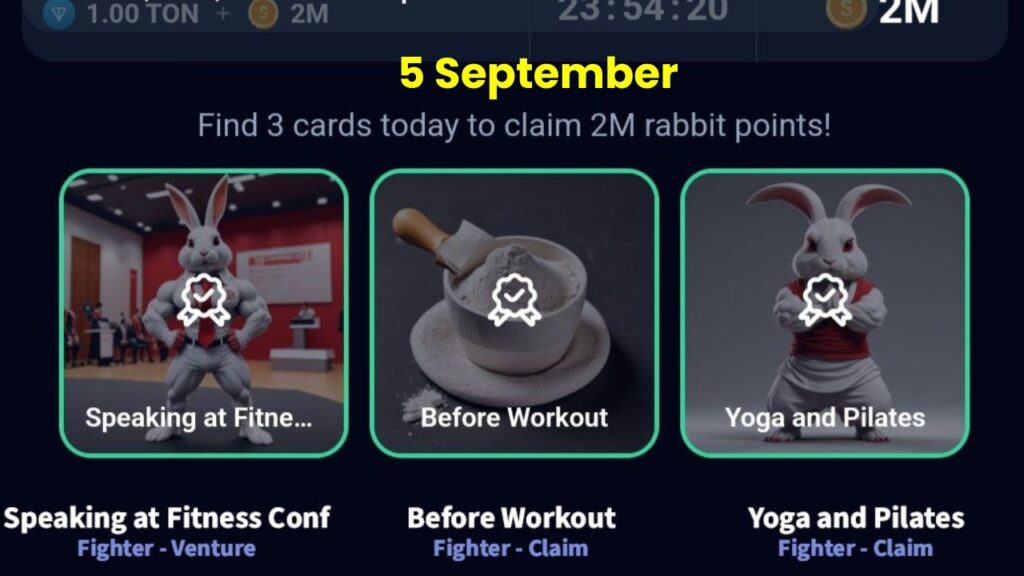  Rocky Rabbit Combo 5 September