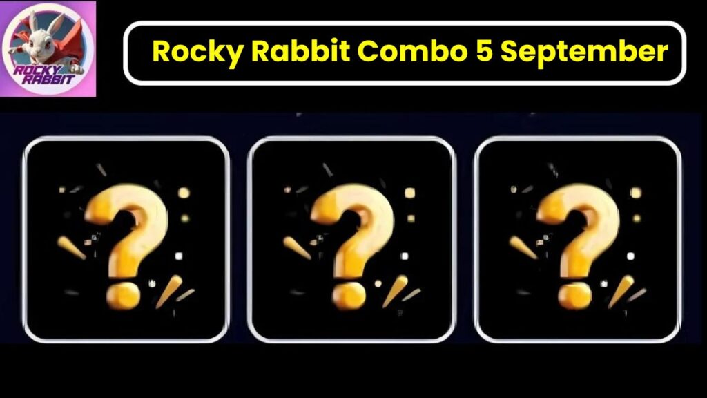 Rocky Rabbit Combo 5 September