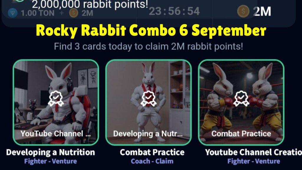 Rocky Rabbit Combo 6 September