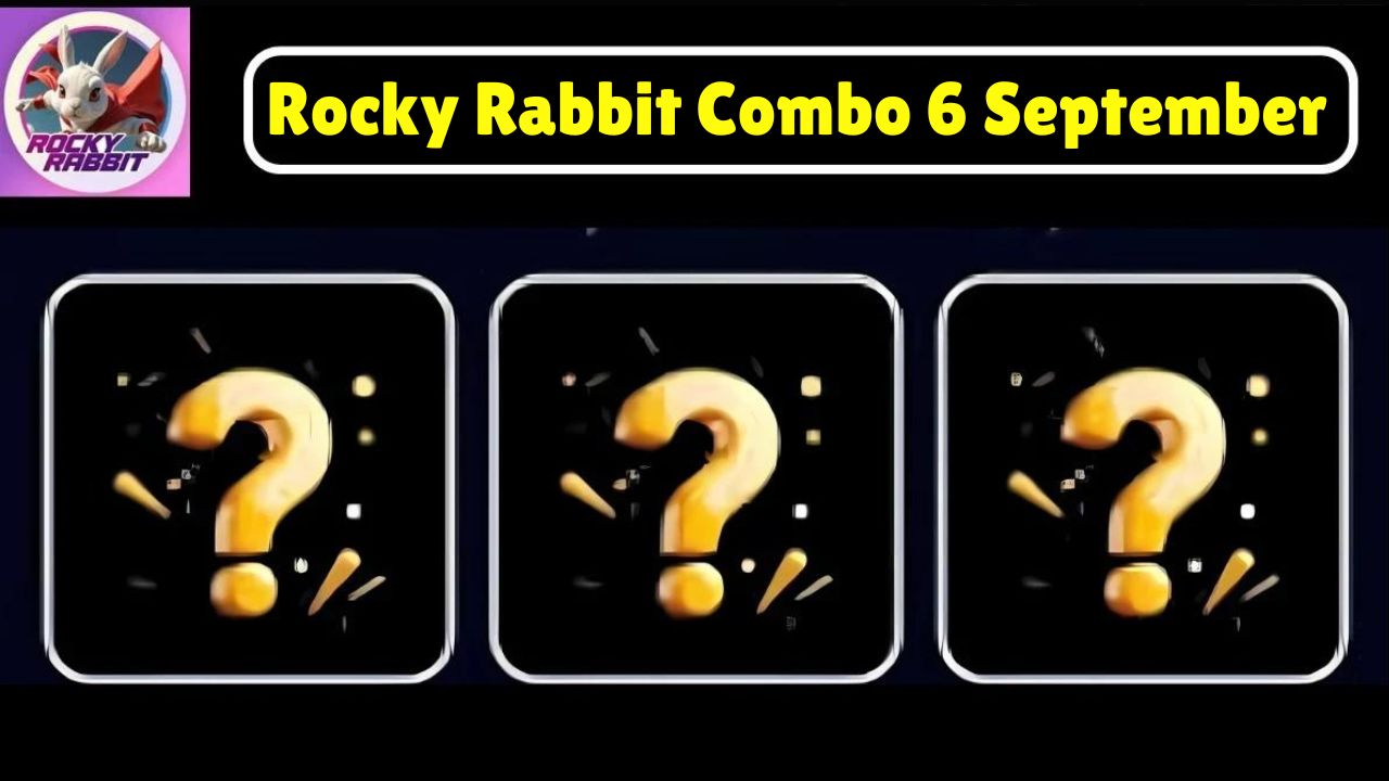 Rocky Rabbit Combo 6 September