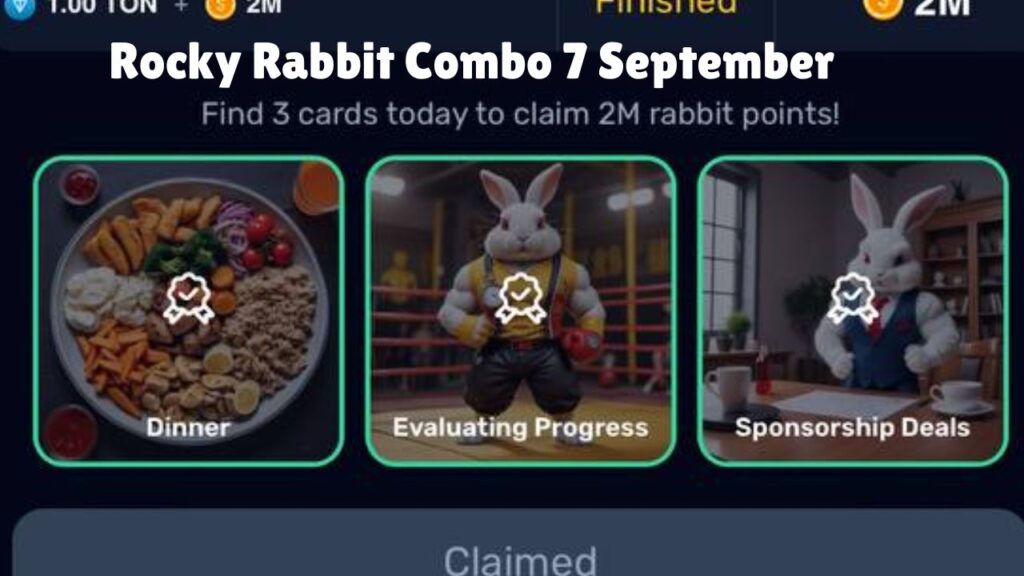 Rocky Rabbit Combo 7 September