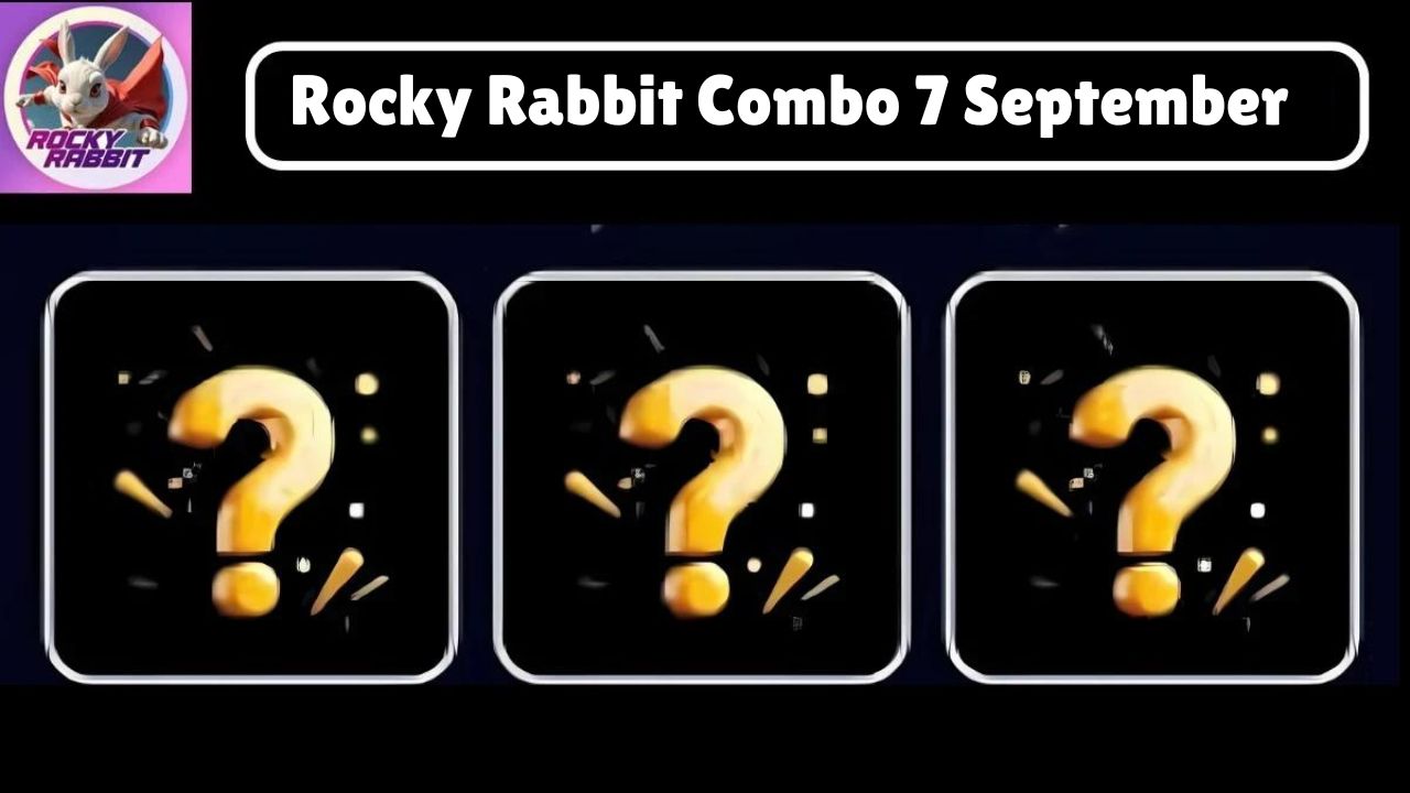 Rocky Rabbit Combo 7 September