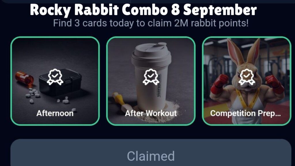 Rocky Rabbit Combo 8 September