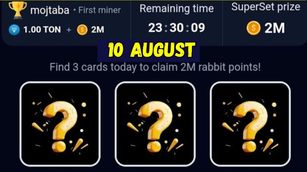 Rocky Rabbit Combo August 10