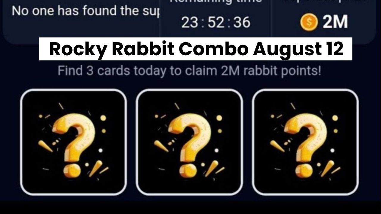 Rocky Rabbit Combo August 12