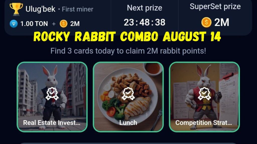 Rocky Rabbit Combo August 14