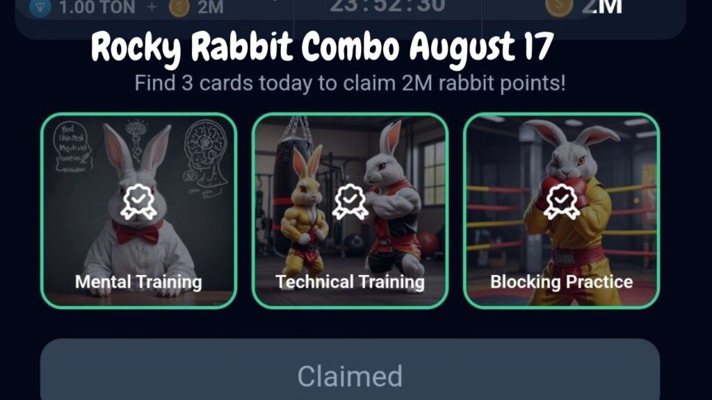 Rocky Rabbit Combo August 17