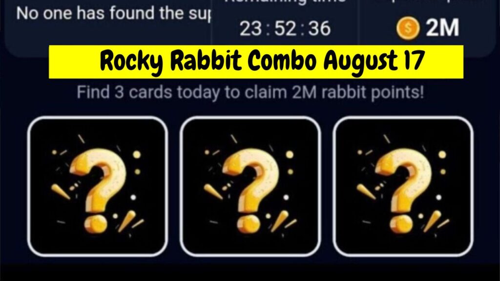 Rocky Rabbit Combo August 17