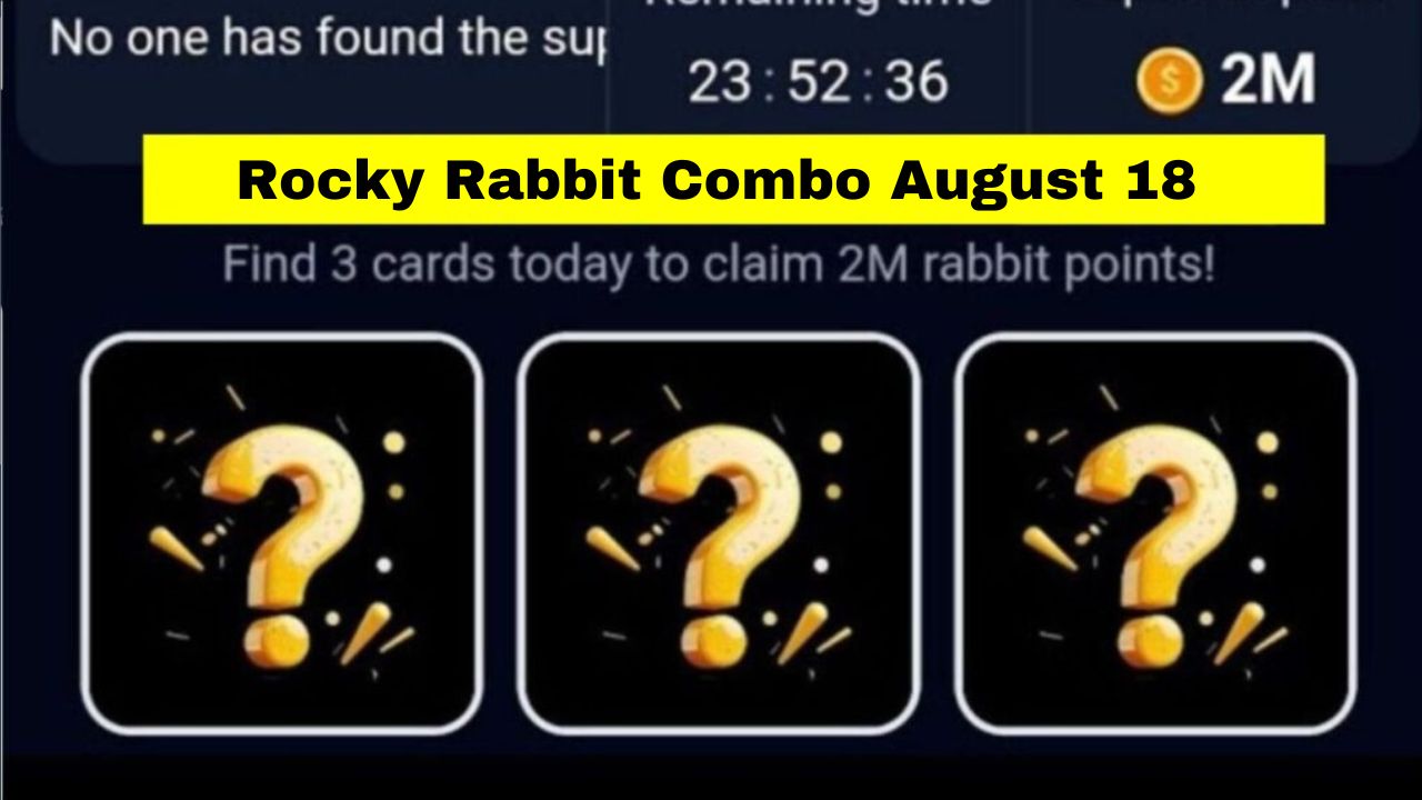 Rocky Rabbit Combo August 18