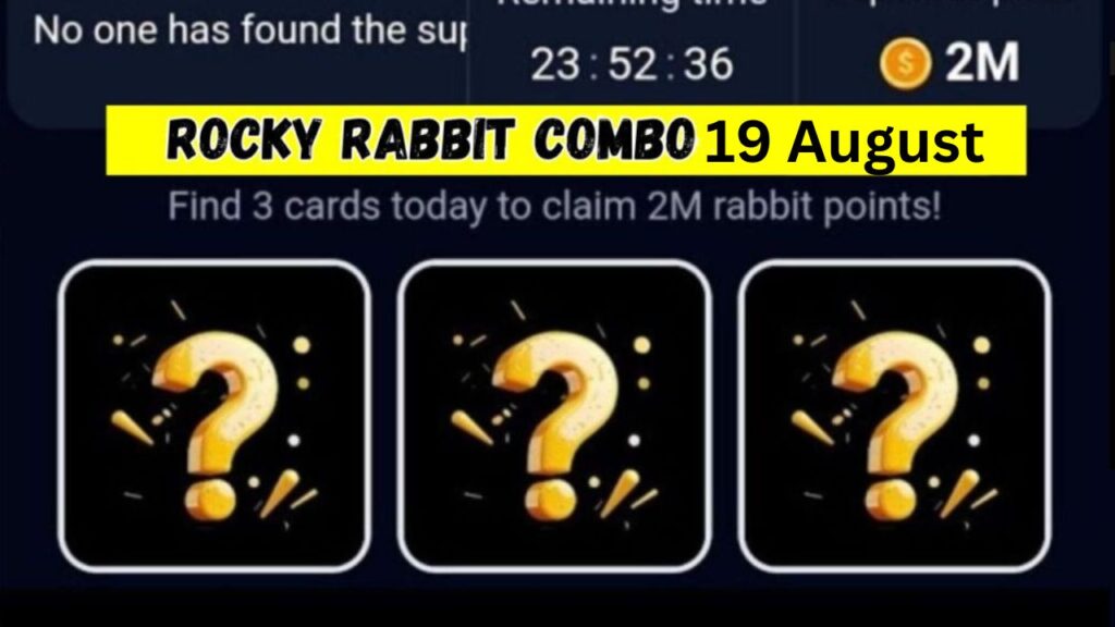 Rocky Rabbit Combo August 19