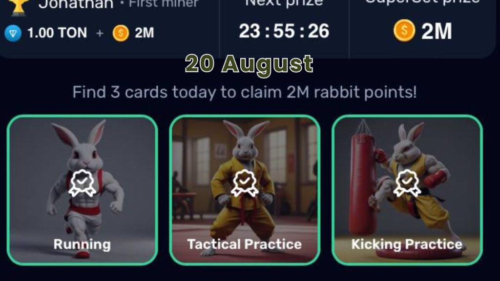 Rocky Rabbit Combo August 20