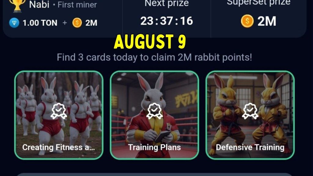 Rocky Rabbit Combo August 9