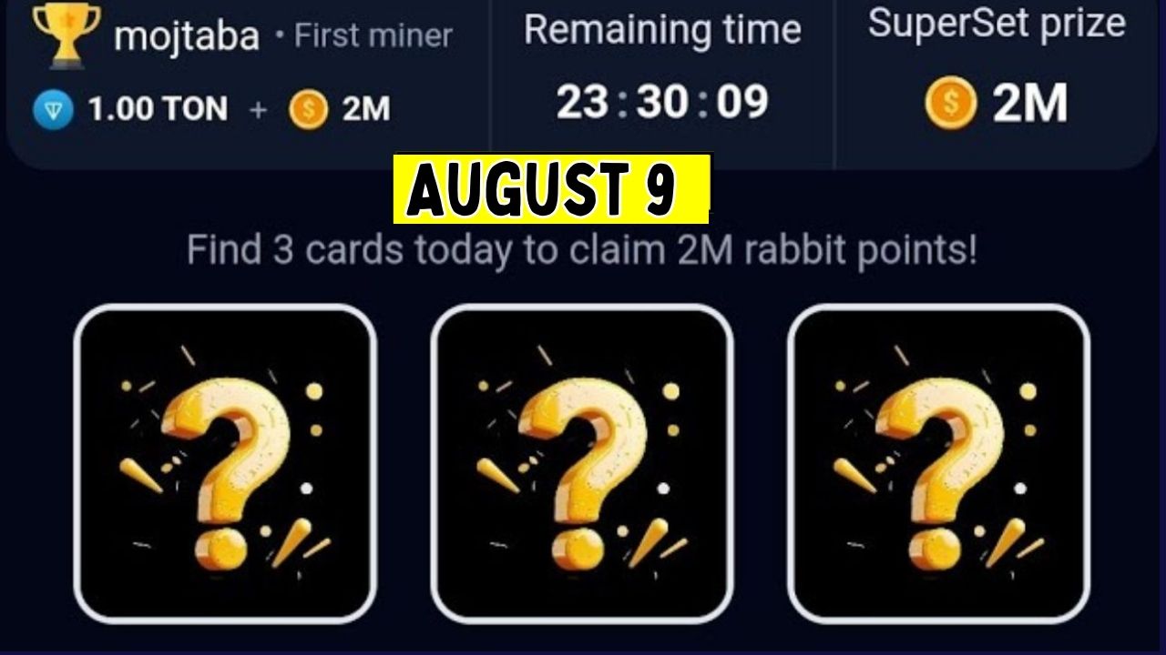 Rocky Rabbit Combo August 9