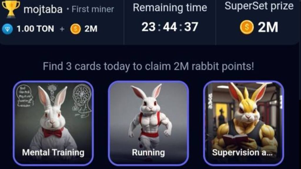 RockyRabbit Daily Combo Card 19 July